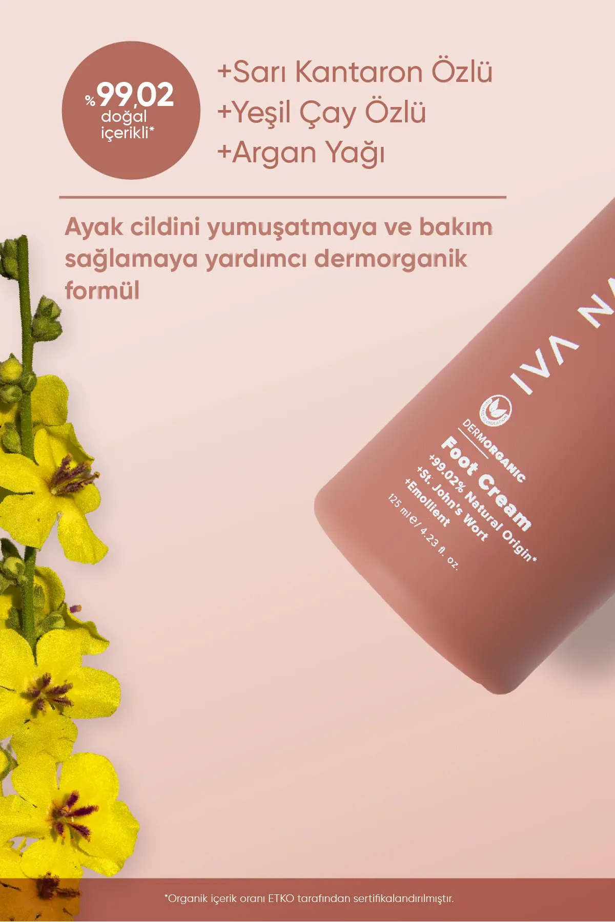 Organik Ayak Bakım Kremi Kantaron & Shea Yağı – Yoğun Nem Desteği – 125 ml — IVN17 — تصویر 2 از 6