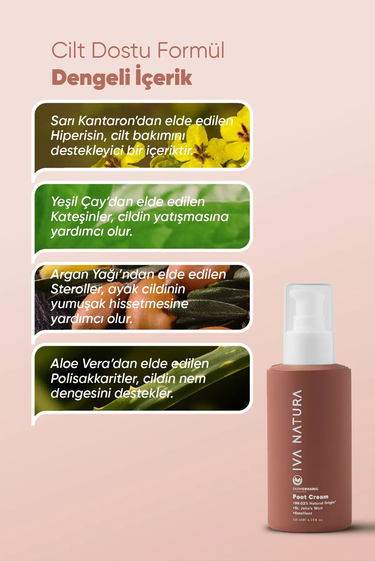 Organik Ayak Bakım Kremi Kantaron & Shea Yağı – Yoğun Nem Desteği – 125 ml — IVN17 — تصویر 3 از 6