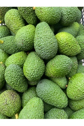 KILINÇ TROPİKAL 1 Kg Avokado