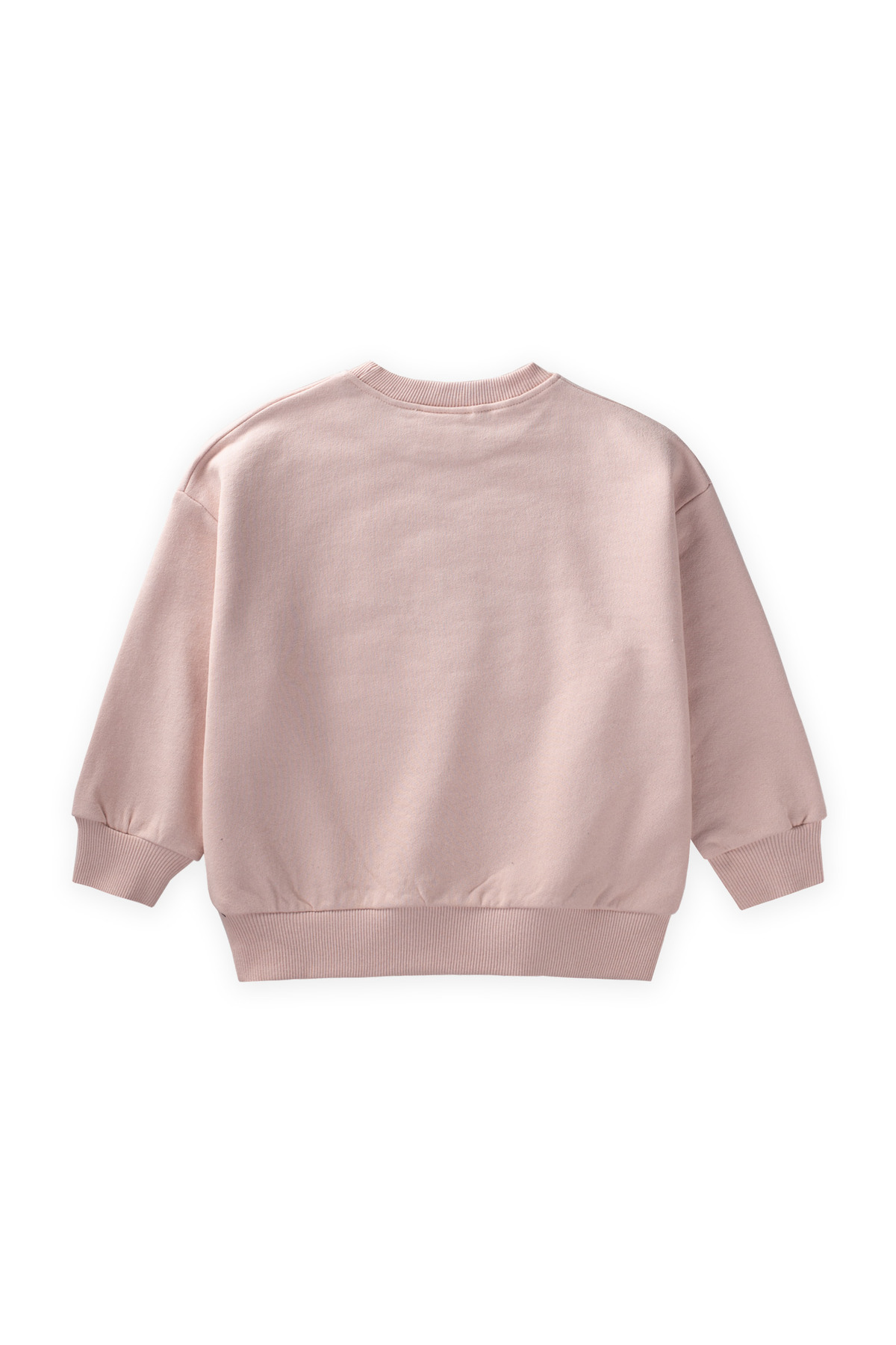 Cigit Pullu Ay Yıldız Nakışlı Sweatshirt 2-8 Yaş Pudra Pembe fotoğrafı 2 (önizleme)