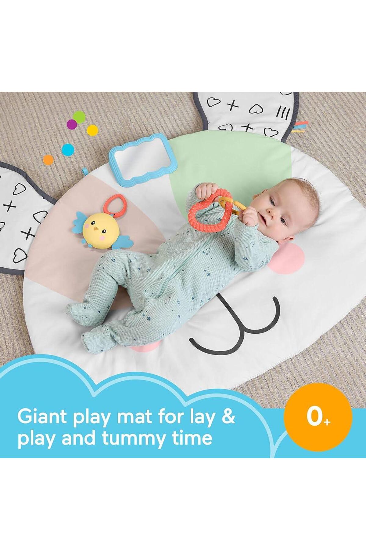 Fisher Price Fisher-Price Yenidoğanlar için karın üstünde oynama, Sevimli Köpekçik Büyük Oyun Minderi,HYR51 fotoğrafı 4 (önizleme)