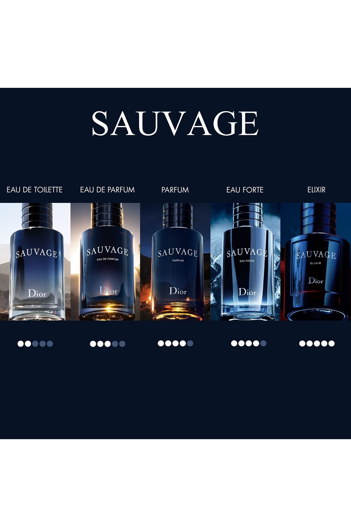 Dior Sauvage EDP Spray 100ML Erkek Parfümü - Fiyatı, Yorumları