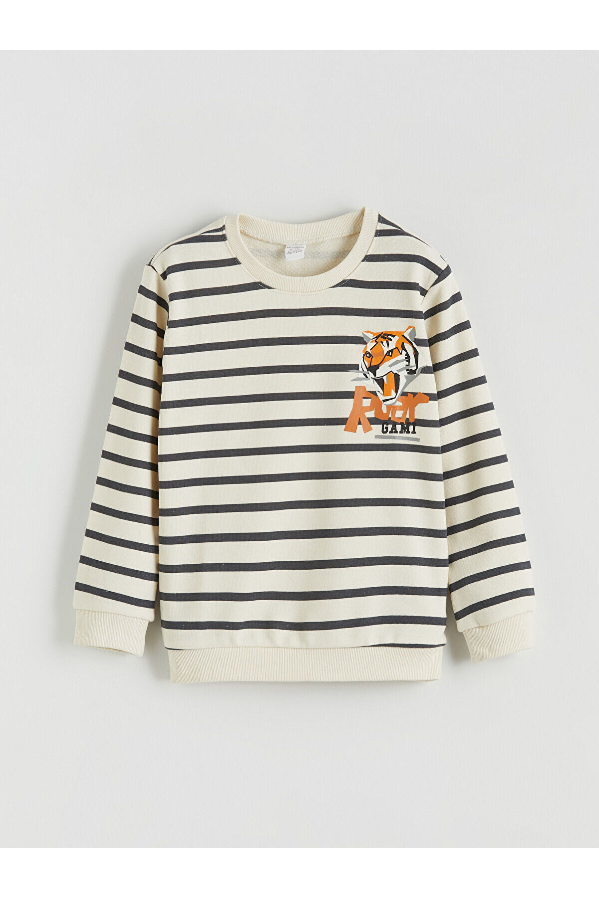 LC Waikiki Nevaa Collection Bej Baskılı Erkek Çocuk Sweatshirt 2'li fotoğrafı 2 (önizleme)