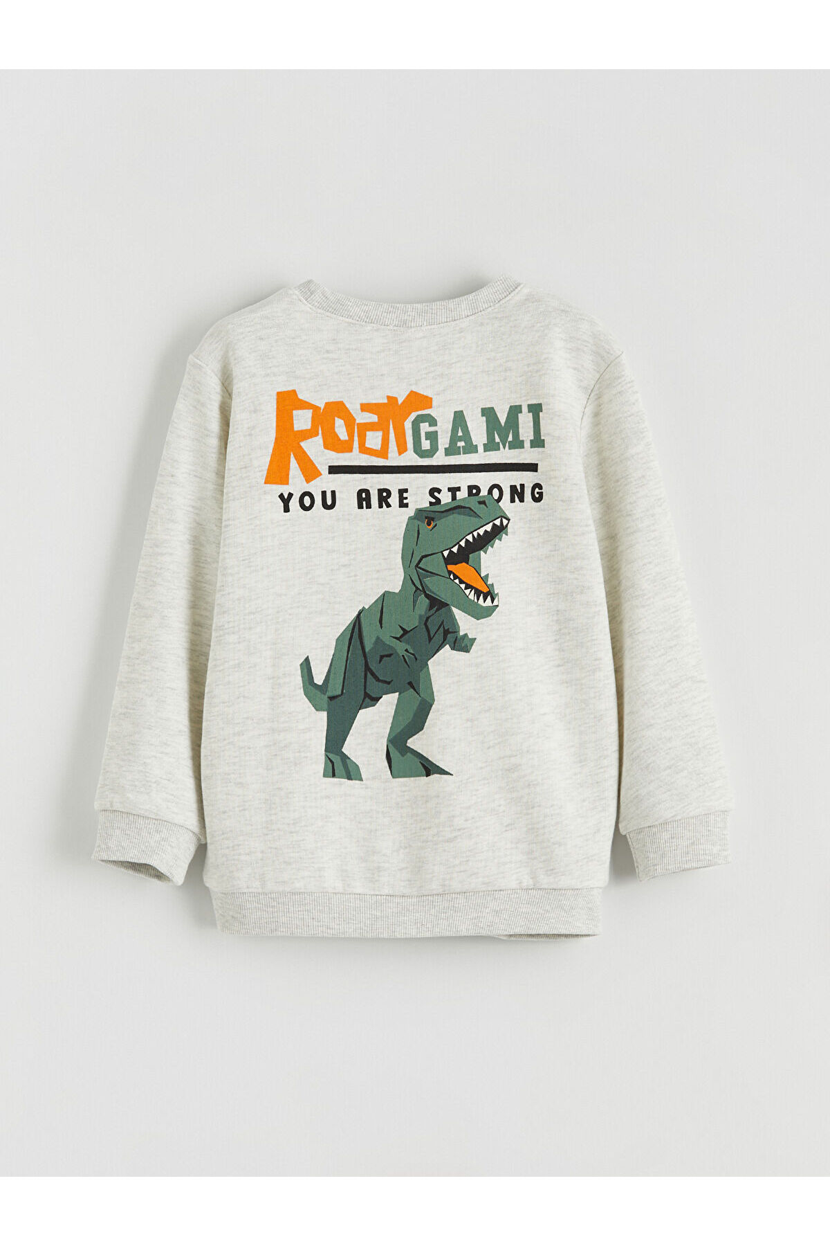 LC Waikiki Nevaa Collection Bej Baskılı Erkek Çocuk Sweatshirt 2'li fotoğrafı 7 (önizleme)