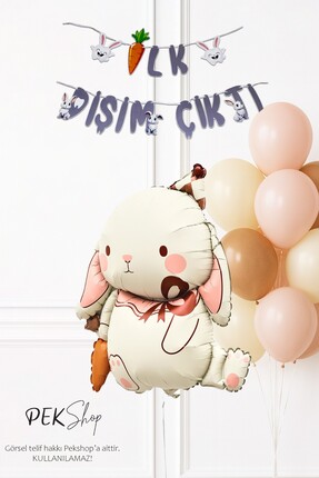PEKSHOP Diş Buğdayı Parti Süsleme Seti Havuçlu Tavşan Balonlu Bannerlı Set 259