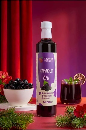 Köyceğiz Bahçesi Doğal Karadut Özü - 700gr