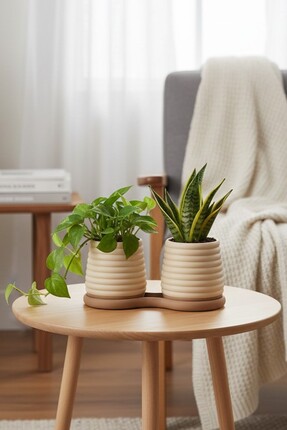 Puffin Design Pair İkili Saksı