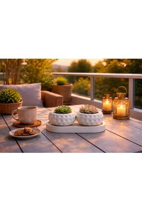 nilux Premium Sukulent Saksı ve Tepsi Seti - Modern Minimal Salon Konsol Balk...