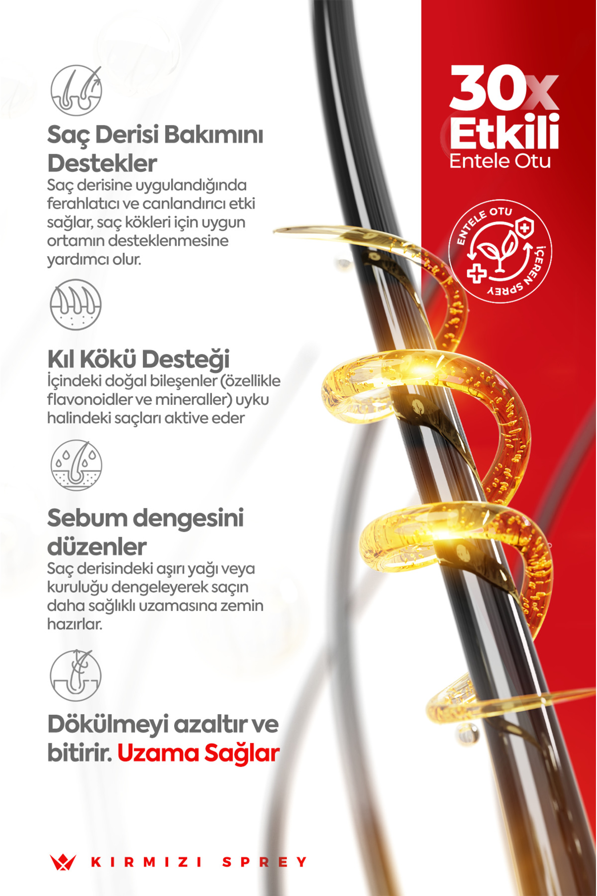 Kırmızı Sprey | Saç Uzamasını Destekleyici ve Dökülme Karşıtı Sprey — TYC72289A5997F2BCF6C83900 — تصویر 4 از 5