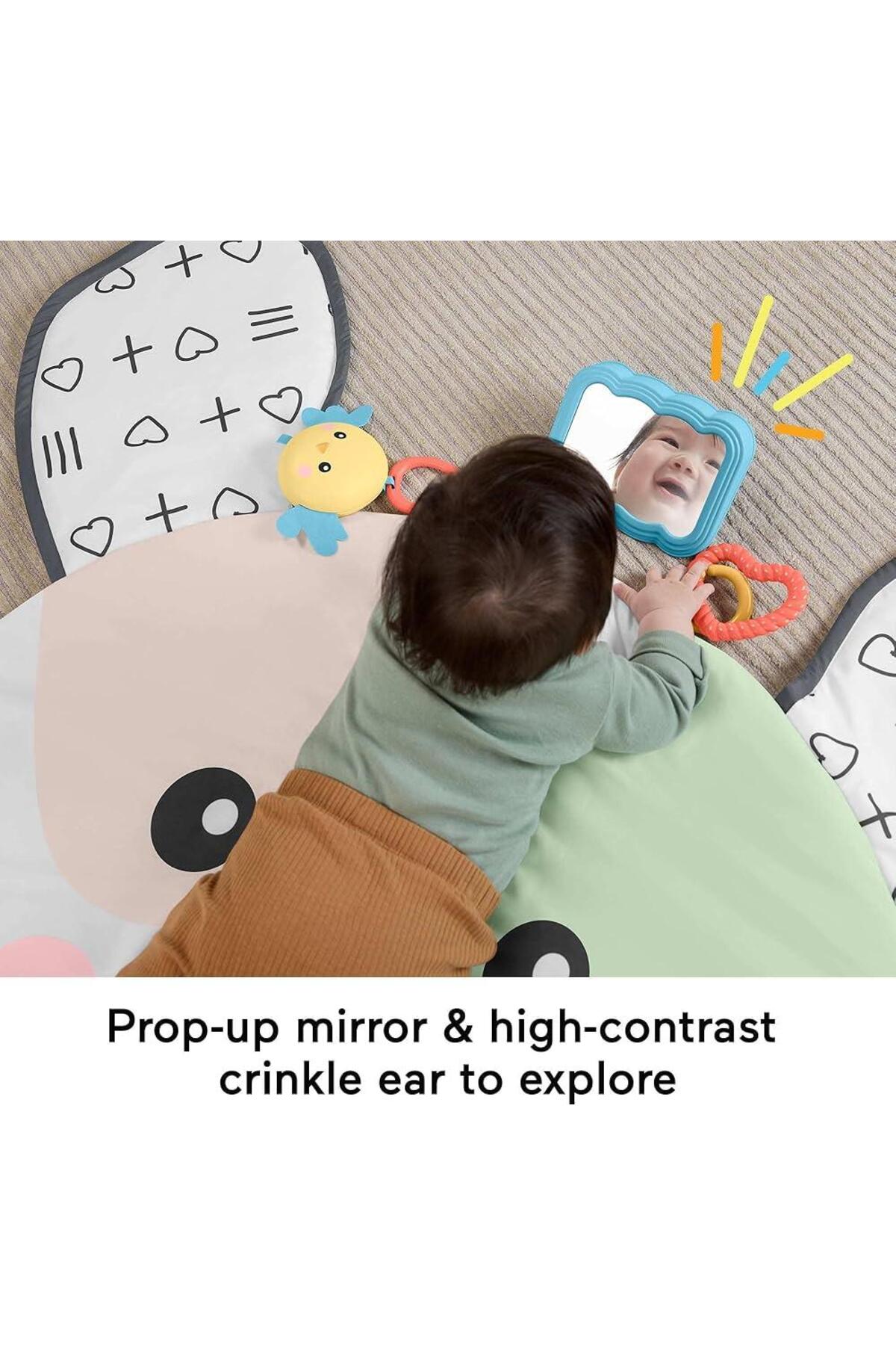 Fisher Price Fisher-Price Yenidoğanlar için karın üstünde oynama, Sevimli Köpekçik Büyük Oyun Minderi,HYR51 fotoğrafı 3 (önizleme)