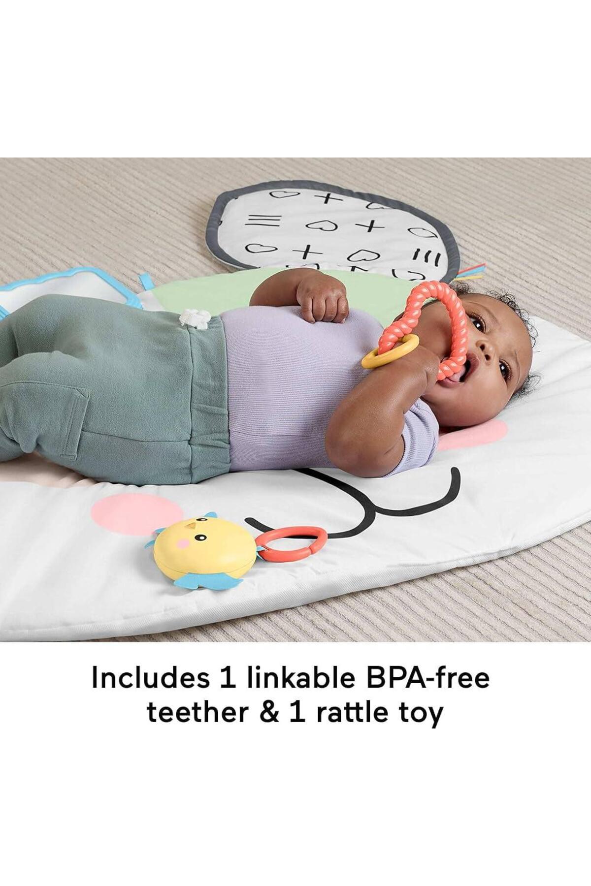 Fisher Price Fisher-Price Yenidoğanlar için karın üstünde oynama, Sevimli Köpekçik Büyük Oyun Minderi,HYR51 fotoğrafı 2 (önizleme)