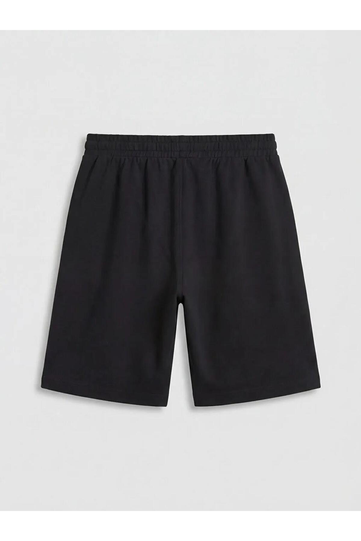 LC Waikiki  Standart Kalıp Erkek Şort (S6) - Görsel 2