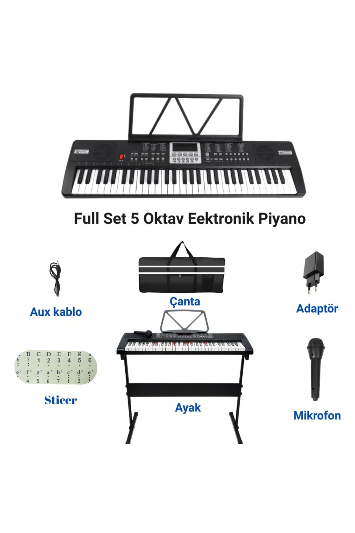 MultiZone 61 Tuşlu 5 Oktav Dijital Org 100 Ses Ritim Mikrofon Nota
