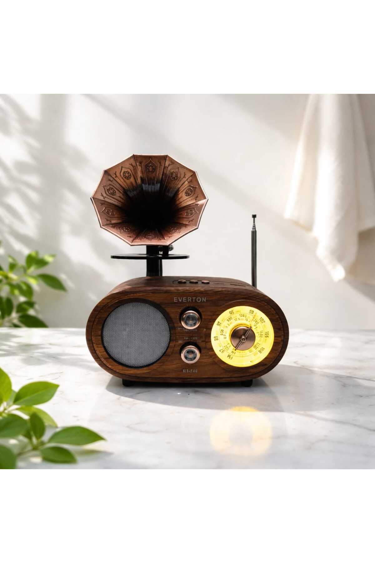 Everton RT-746 usb am-sw-fm bluetooth gramafonlu nostolji müzik