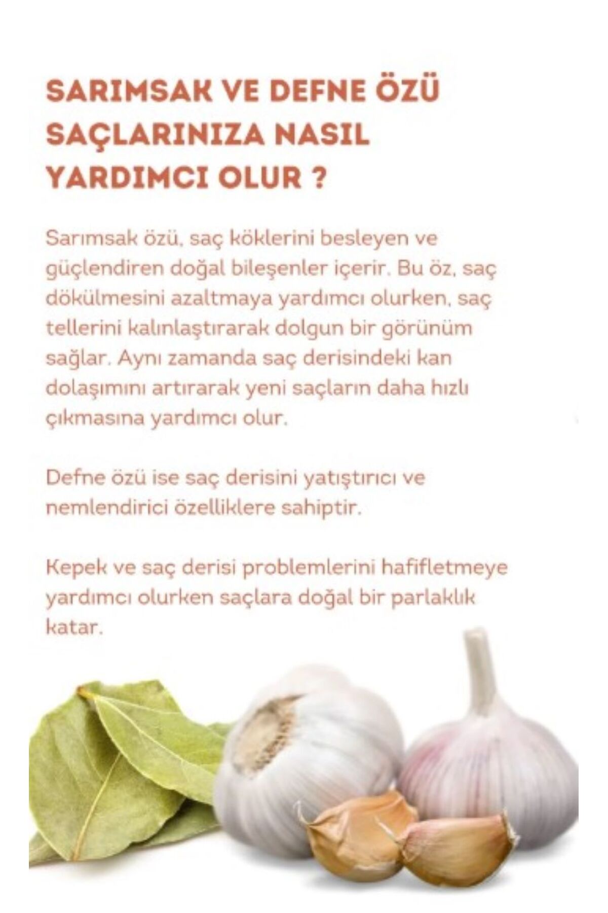 Defne Ve Sarımsaklı Şampuan, Saç Dökülmesine Karşı Yardımcı 485 ml 4lü Set — defnex4 — تصویر 3 از 5