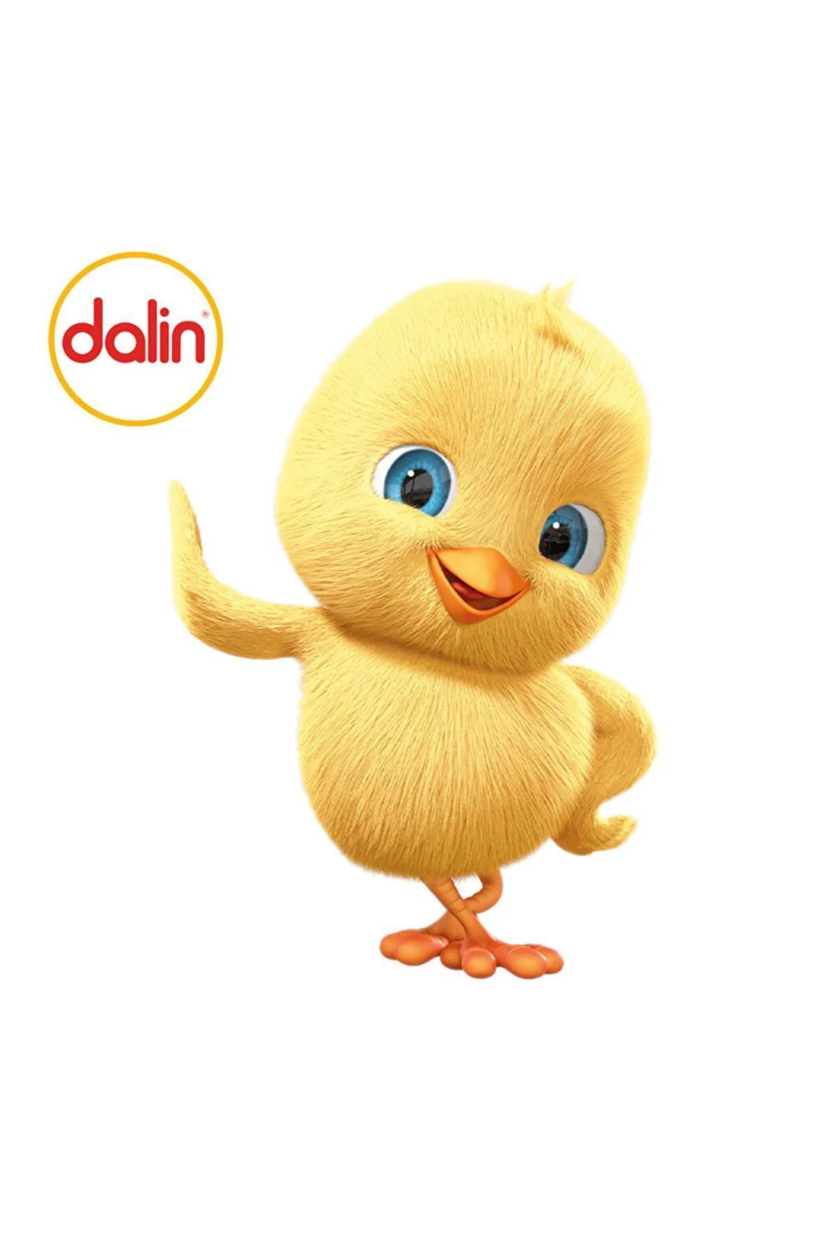 Dalin 2'li Set - Doğal Sabun Bazlı Sıvı Çamaşır Deterjanı 1500 ml -x 2 Adet Toz Leke Çıkartıcı 500 gr fotoğrafı 6 (önizleme)