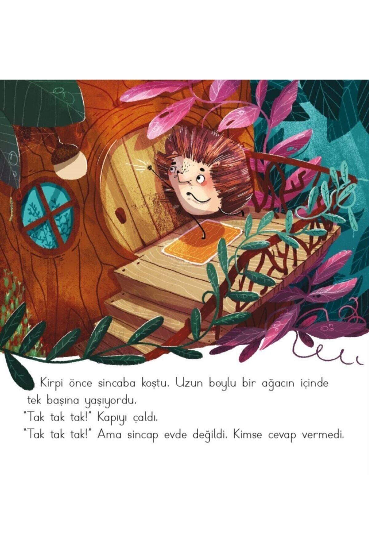 Dikkat Atölyesi Yayınları 2-6 Yaş Hikayelerle Duygular Serisi Ve Davranış Yönetimi Serisi fotoğrafı 2 (önizleme)