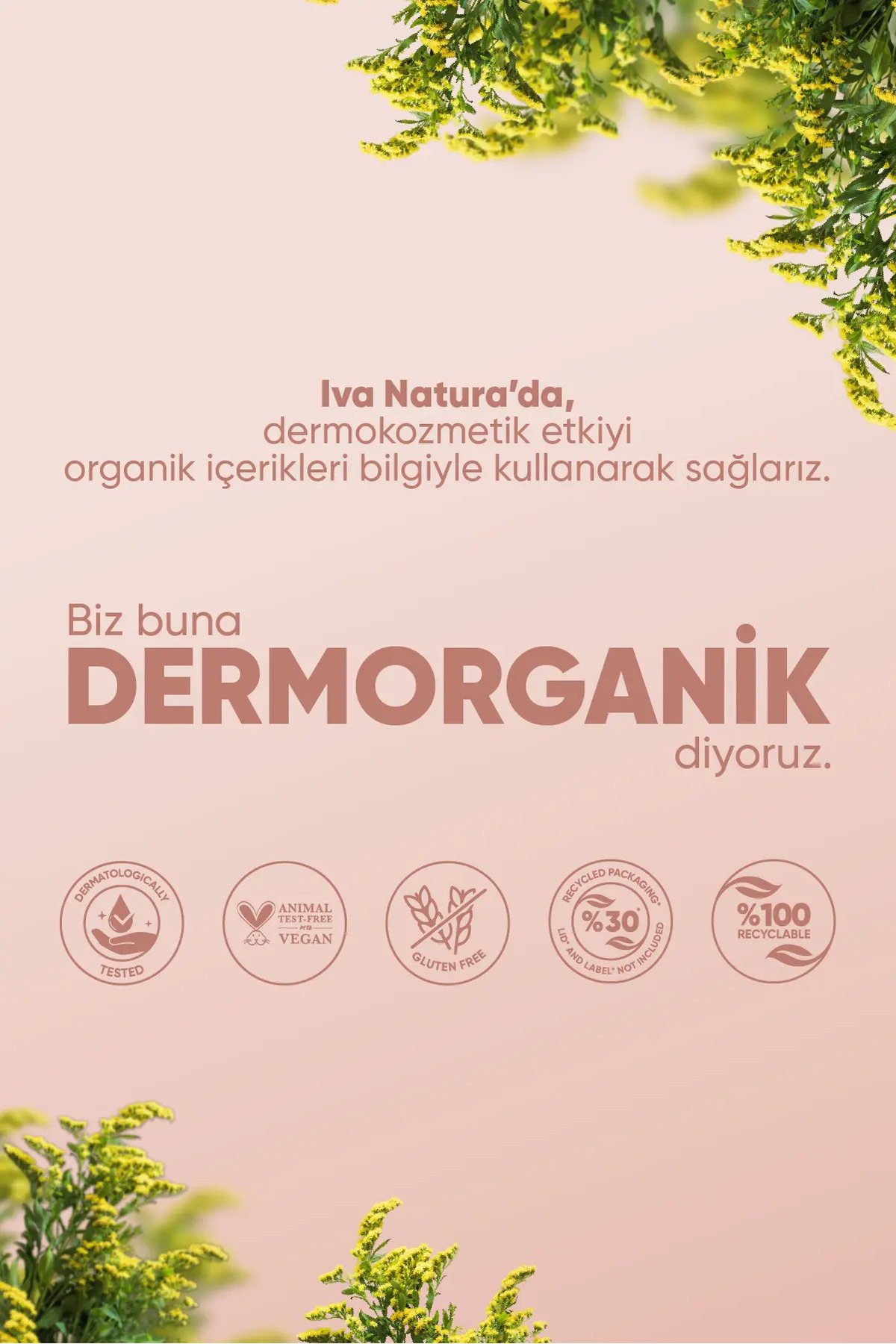 Organik Ayak Bakım Kremi Kantaron & Shea Yağı – Yoğun Nem Desteği – 125 ml — IVN17 — تصویر 6 از 6