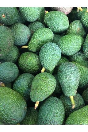 ARI ORGANIC Avokado 1kg taze hasat yerli avakado Anamur