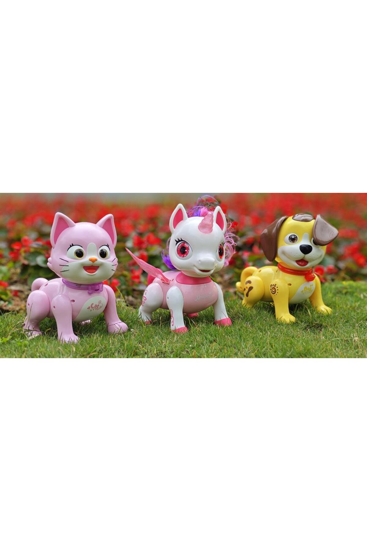 NW NessiWorld SM09F/SM05F/SM05Z ŞARZLI KUMANDALI 3 ASORTİ SEVİML fotoğrafı 3 (önizleme)