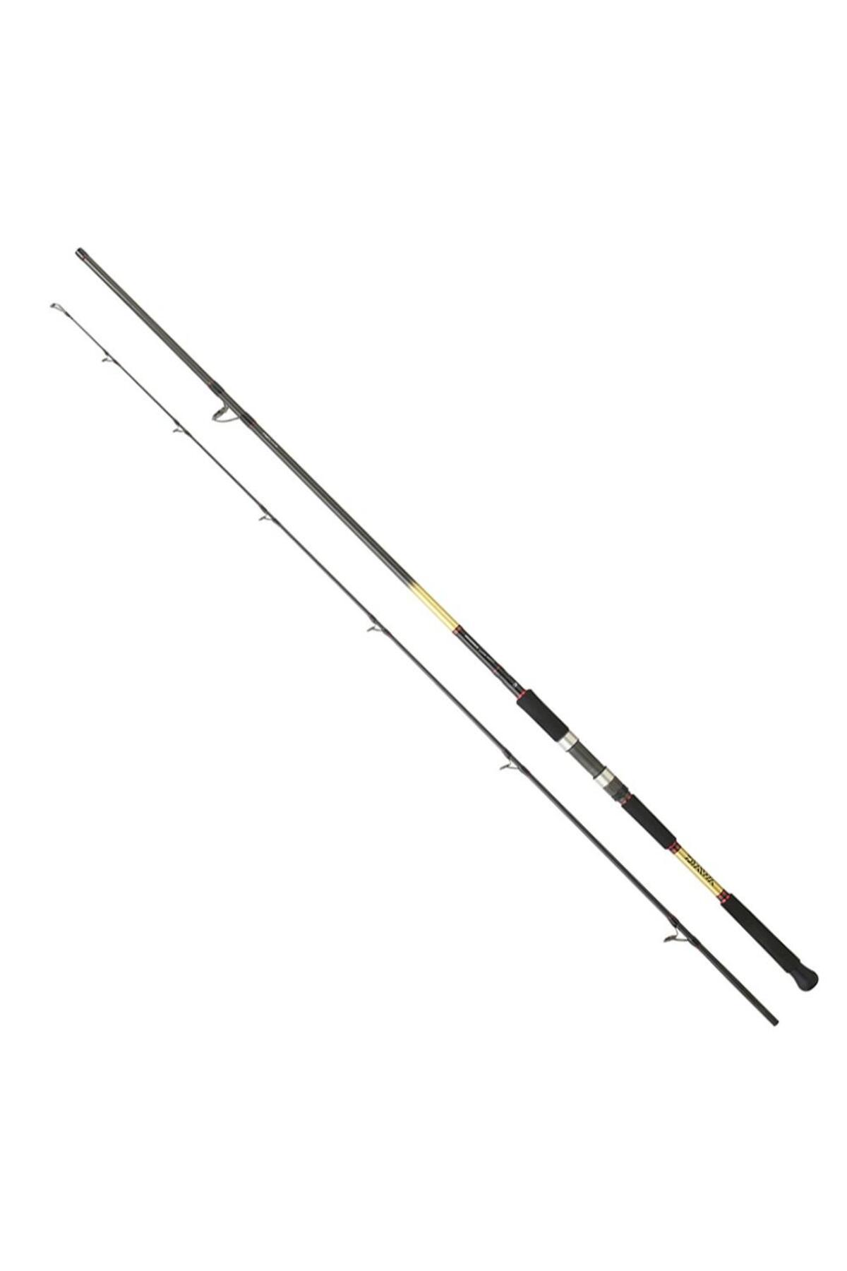 DAIWA Grandwave SJ 305cm 60-120gr 2P Shore Jig Olta Kamışı