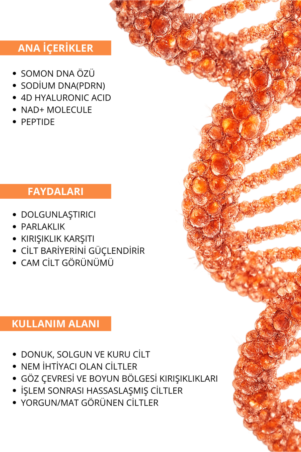 PDRN İçeren Cildi Gençleştirmeye Yardımcı Somon DNA Cilt Serumu 30ml — go-001 — تصویر 5 از 5
