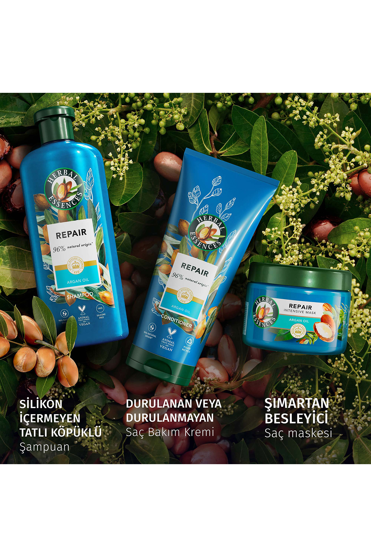 Onarıcı Argan Yağı Saç Bakım Seti — 8681003003438 — تصویر 7 از 7