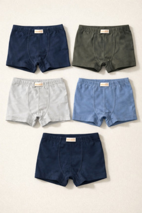 Katia & Bony Erkek Çocuk 5'li Basic Çok Renkli Boxer