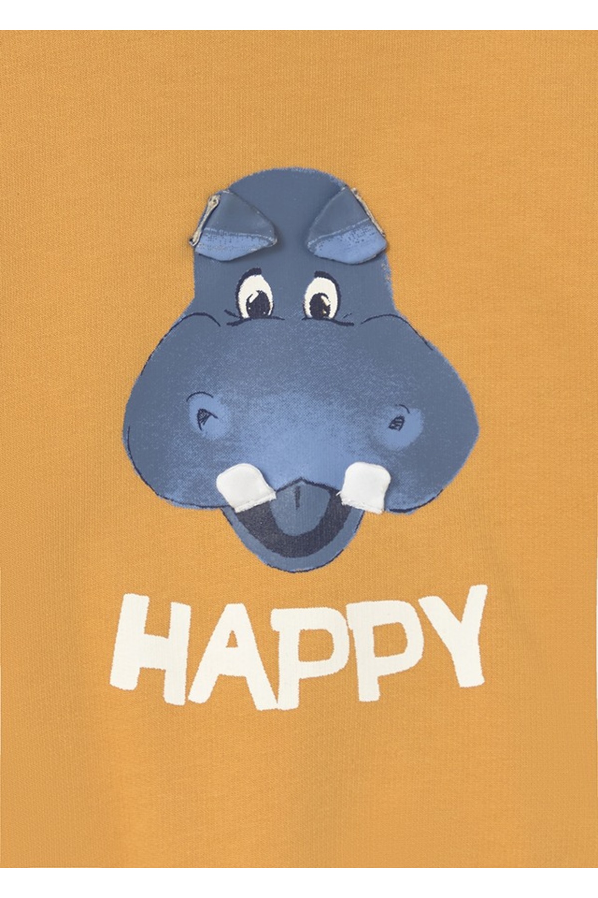 Mayoral Erkek Bebek Desenli Sweatshirt 1402 fotoğrafı 5 (önizleme)