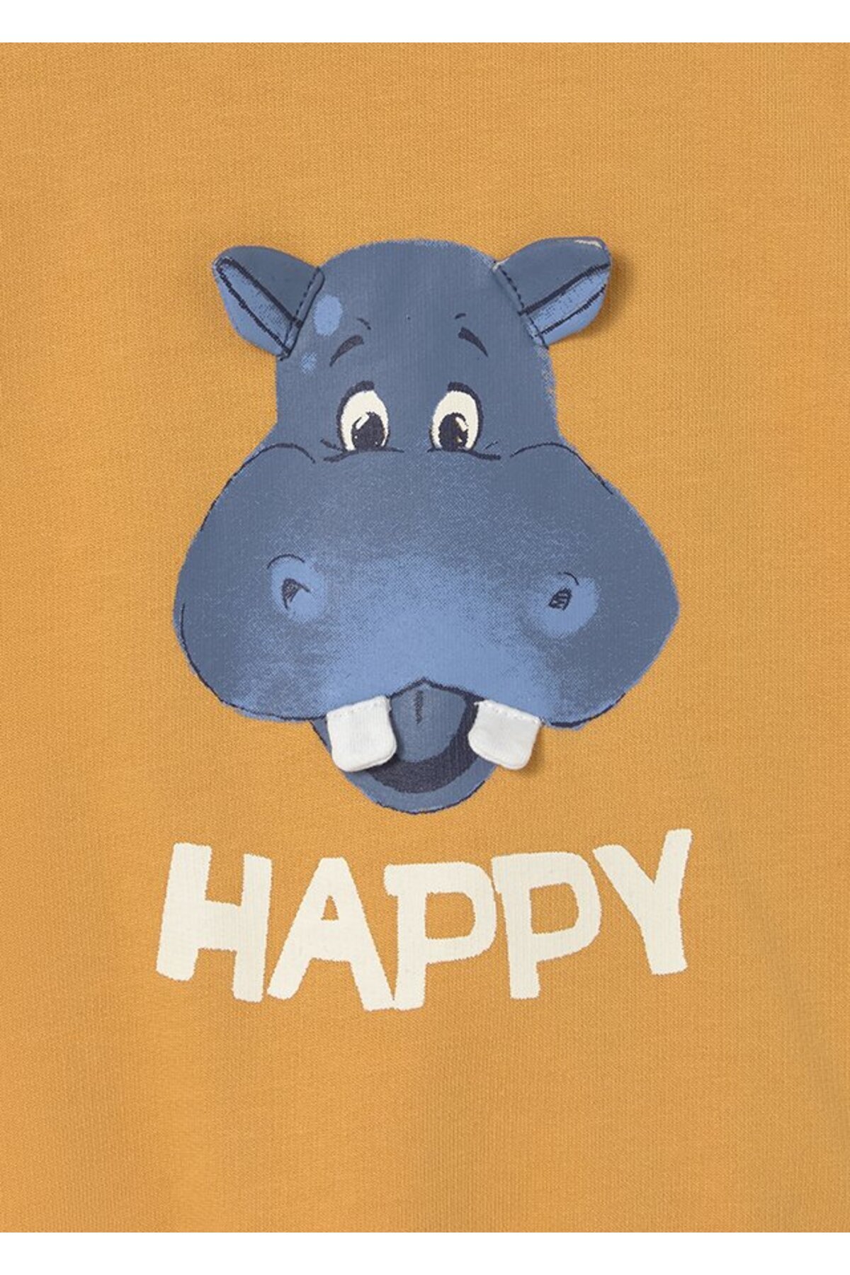 Mayoral Erkek Bebek Desenli Sweatshirt 1402 fotoğrafı 4 (önizleme)