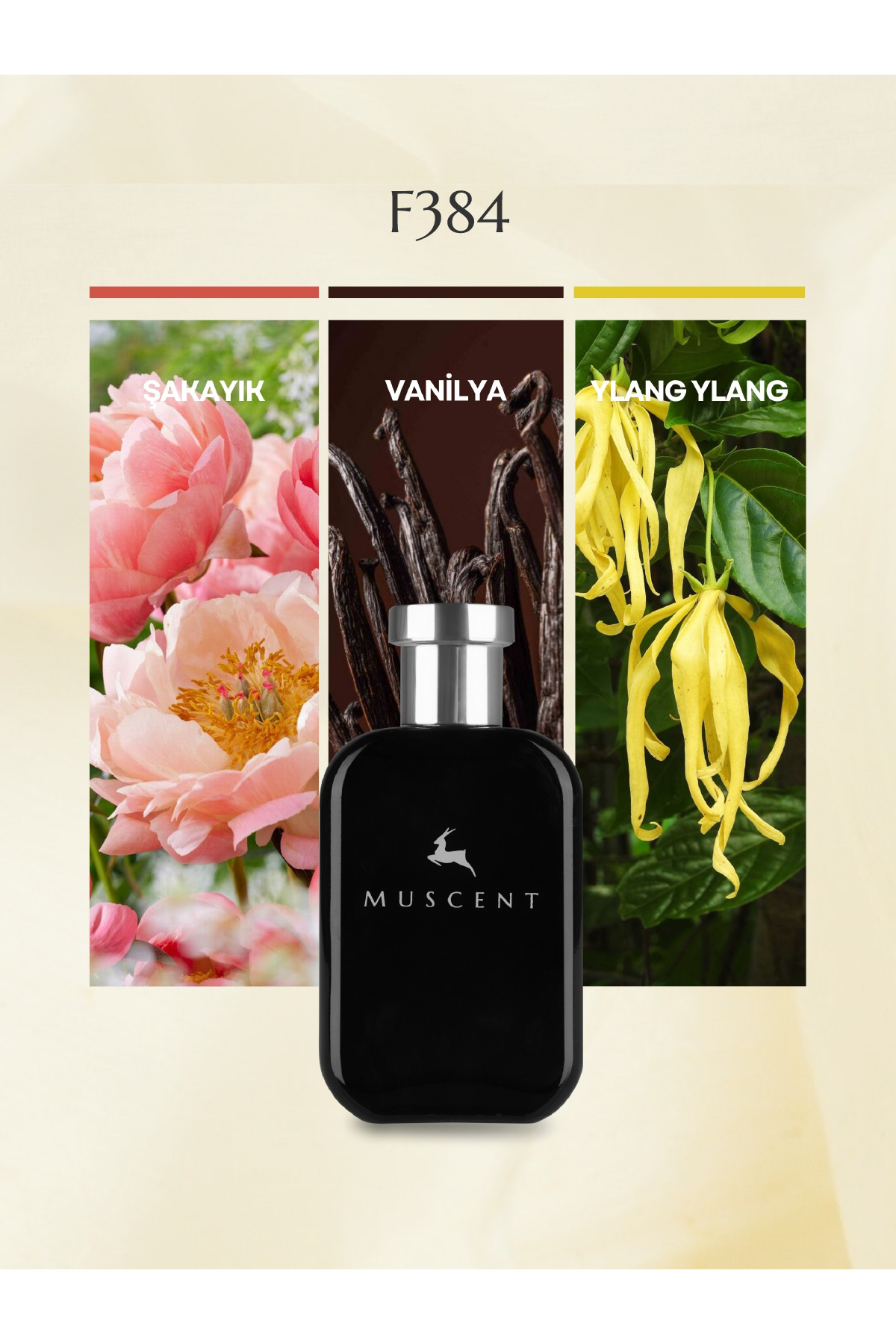 MUSCENT F384 G Girl Blush 50 ml. - Fiyatı, Yorumları