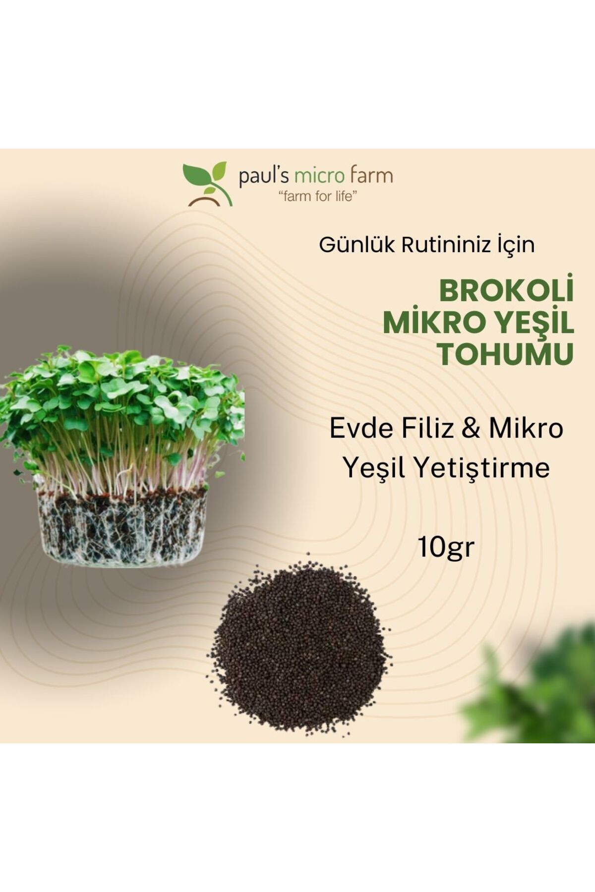 Pauls Micro Farm Brokoli Mikro Yeşil Tohumu – Evde Filiz