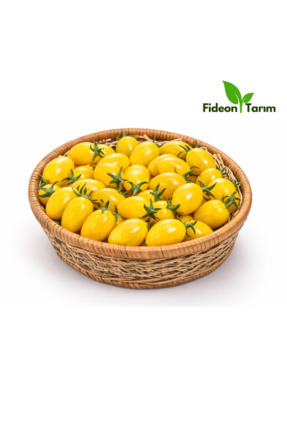 Fideon Sarı Çeri Domates Fidesi | Bahçe ve Saksıya Uygun - 6 Adet