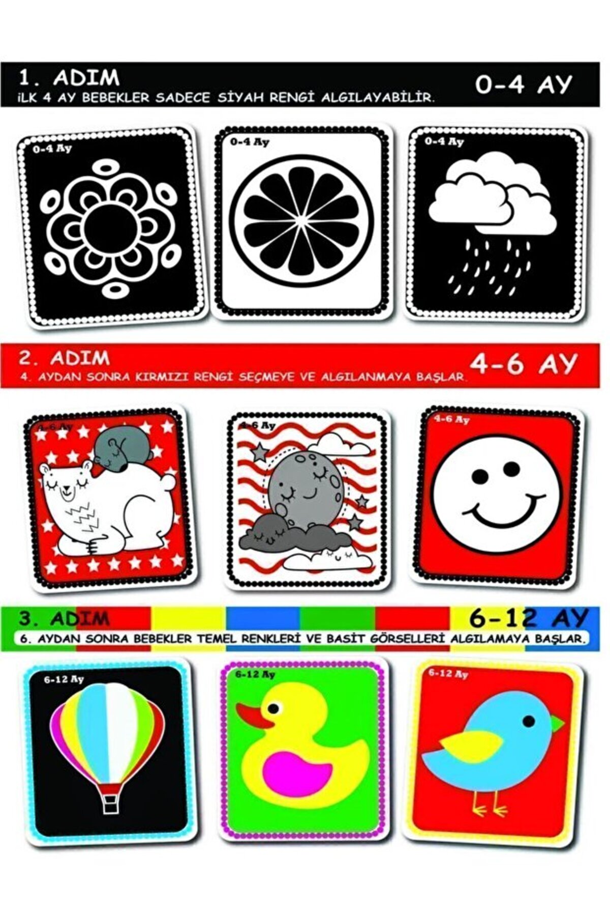 TREND Bebeğimin İlk Zeka Kartları Flash Kart Seti – Eğitici Öğretici Erken Gelişim Kartları fotoğrafı 3 (önizleme)