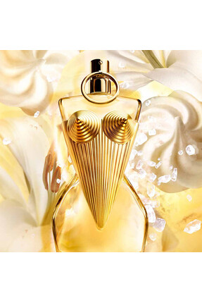 MCC JPG GAULTIER DIVINE PARFUM