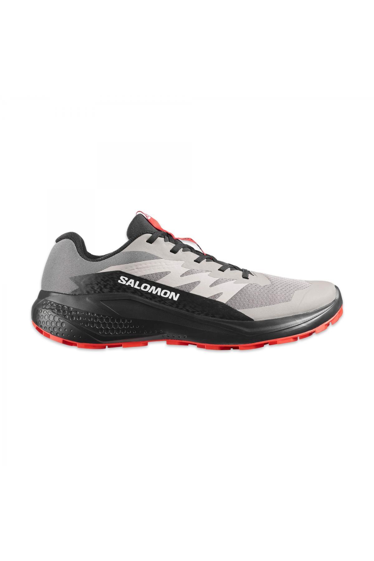 کفش ورزشی مردانه چند رنگ Alphaglide Trail Running مدل 478010 سالومون کفش بیرونی Salomon