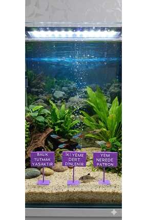 3D Akvaryum Dekoratif Mizah Tabelaları - 3’lü Set - Tasarım Mor Seri (7x5 cm)