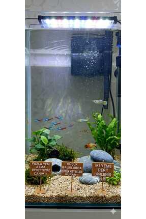 3D Akvaryum Dekoratif Mizah Tabelaları - 3’lü Ahşap Görünümlü Set - Tasarım (...