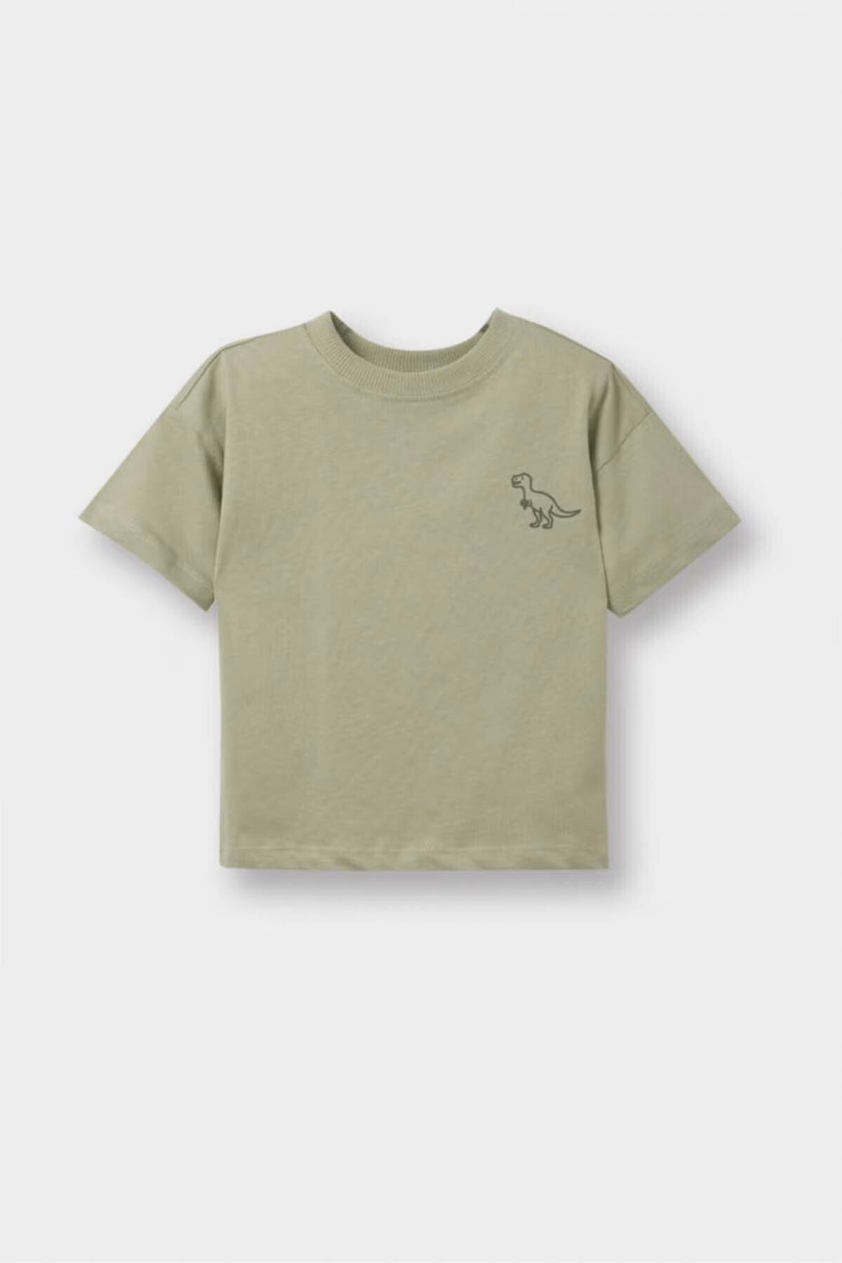 Defacto 100% Cotton Dinosaur Printed T-Shirt for Baby Boy D7910A526Sm