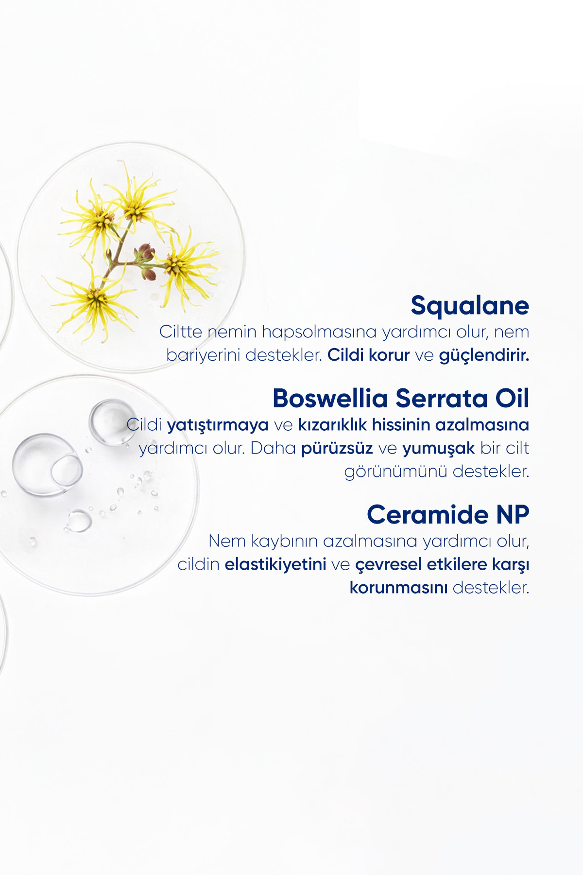 Onarıcı Cilt Bakım Kremi Yoğun Nemlendirici Bariyer Güçlendirici Recovery Cica Cream 50 G — 8682644280622 — تصویر 4 از 11