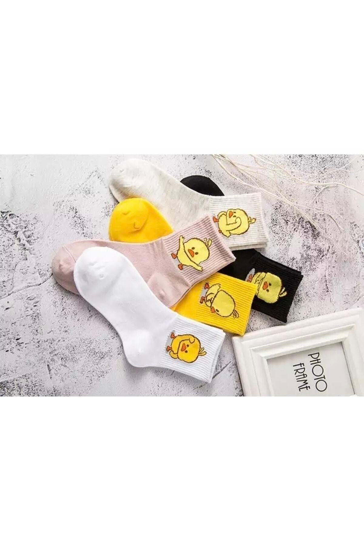 çorapkolik 5 Çift Unisex Renkli Çeşitli Desenli Yıkamalı Civciv Kolej Tenis Çorap görsel 3