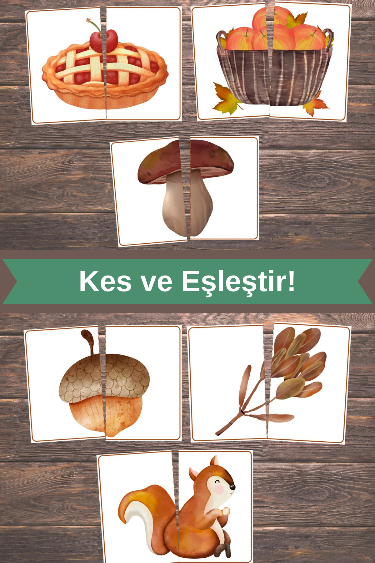 özgürce Sonbahar Eşleştirme Kartları Seti, Montessori, 20 Adet fotoğrafı 2 (önizleme)