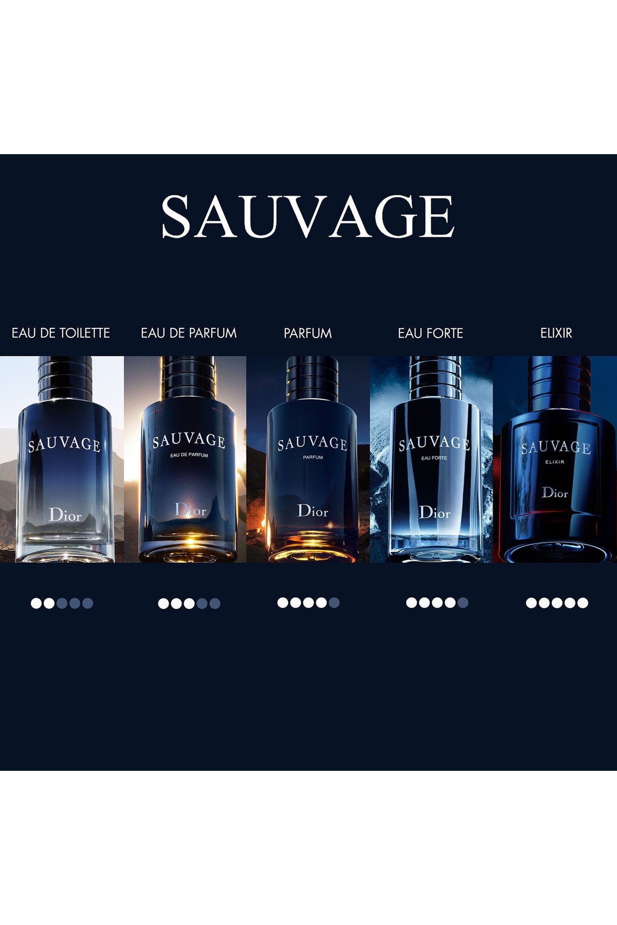 Dior Sauvage Eau Forte - Alcohol Free Parfum 60 ml - Fiyatı, Yorumları