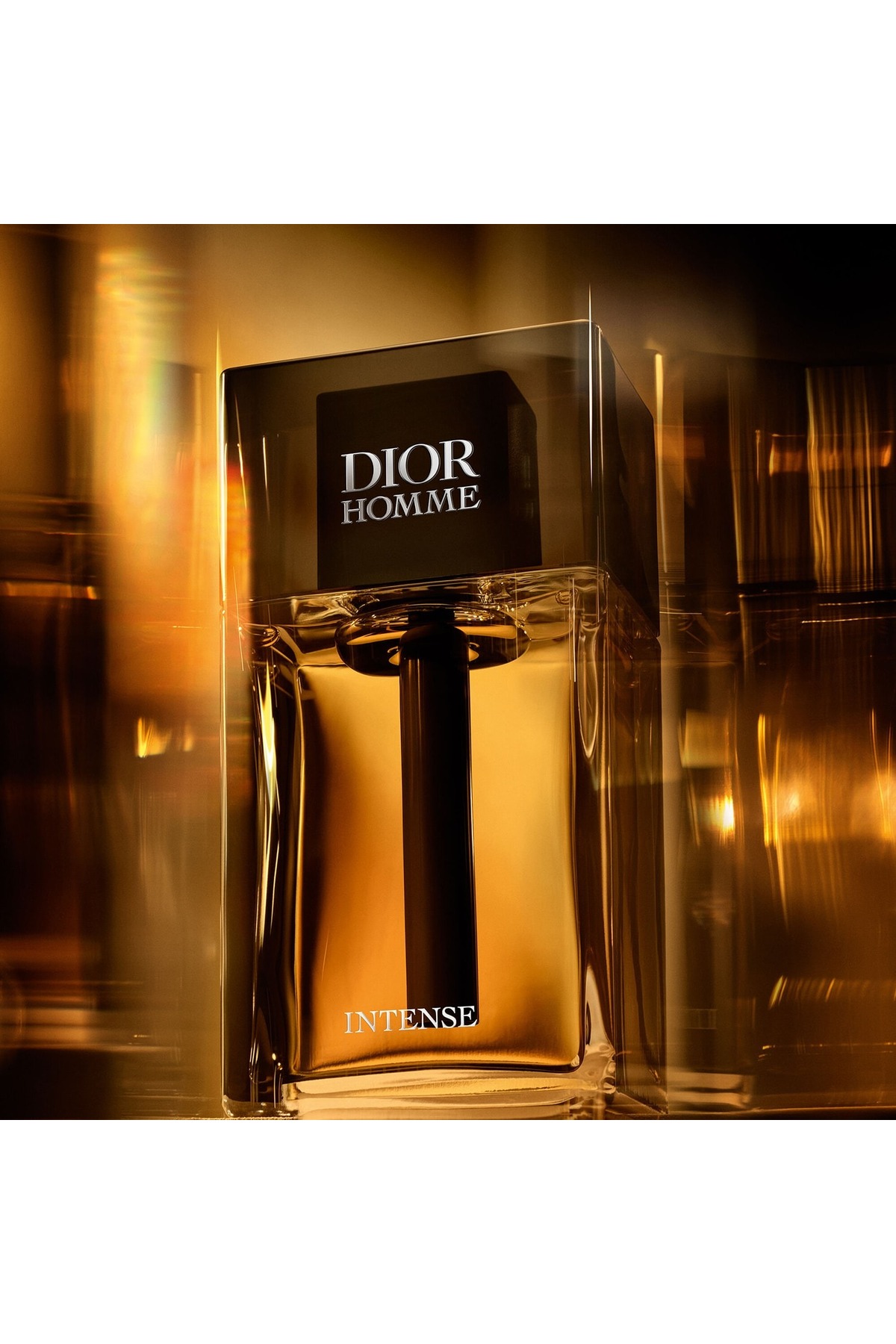 Dior Homme Intense - Eau de Parfum 100 ml - Fiyatı, Yorumları