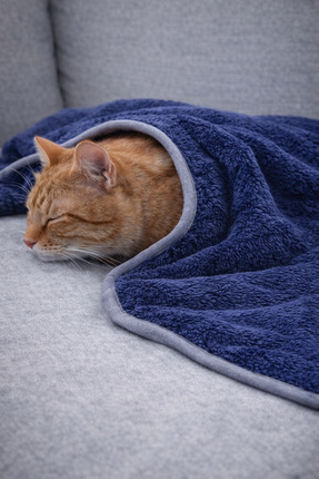 argehome Welsoft Kedi Köpek Battaniyesi – Çift Kat, Biye Kenarlı, Yumuşak & S...