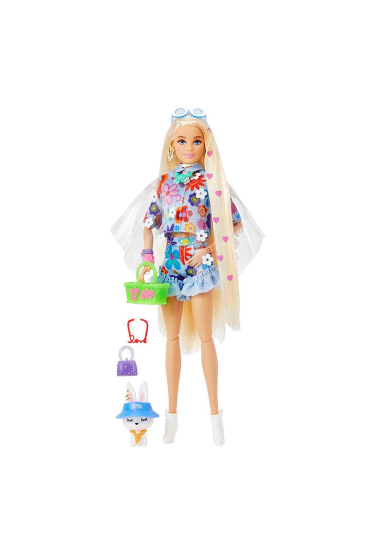 Barbie Extra Mavi Etekli HDJ45 fotoğrafı 4 (önizleme)