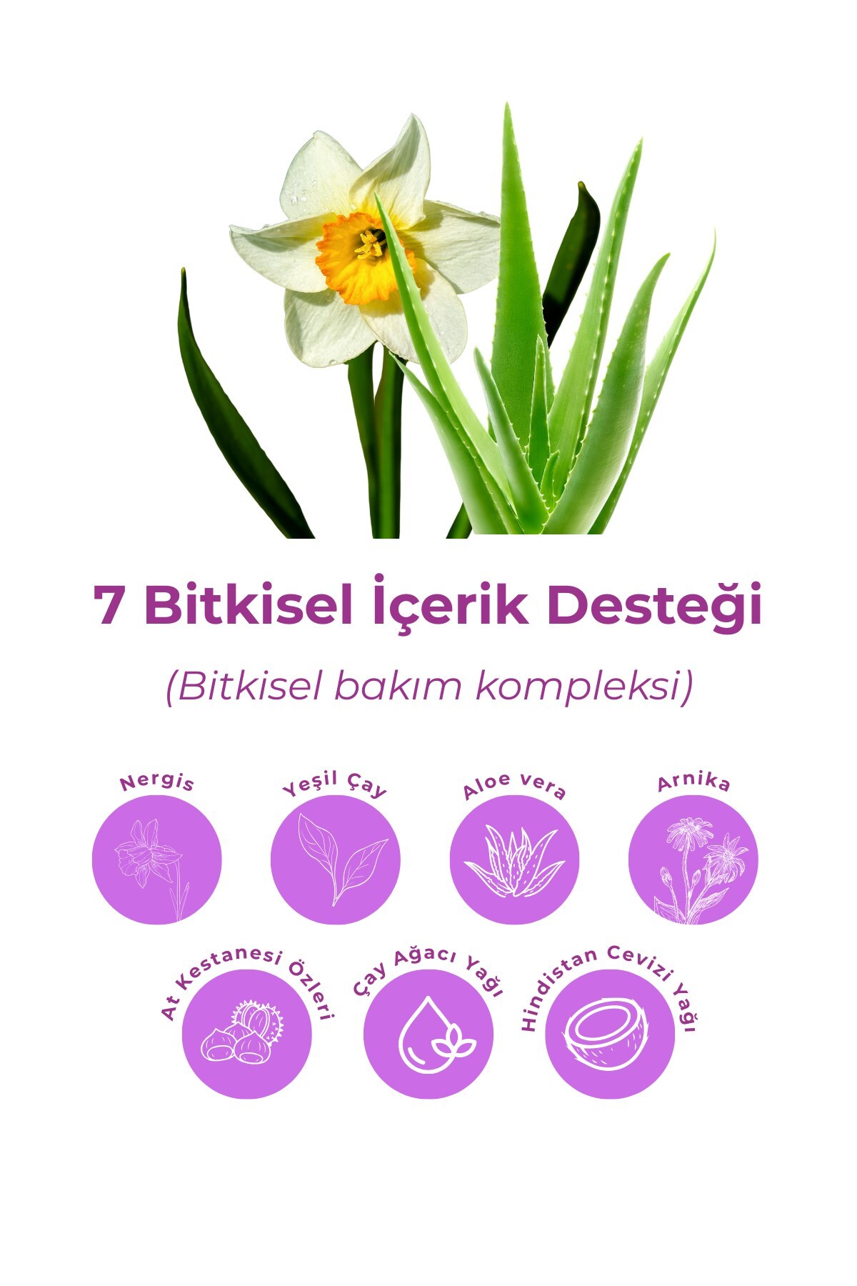 7 Etkili Bitkisel Jel 250 ml – Aloe Vera & Yeşil Çay & Çay Ağacı Yağı — BIO-ALOEJEL-7IN1 — تصویر 2 از 4
