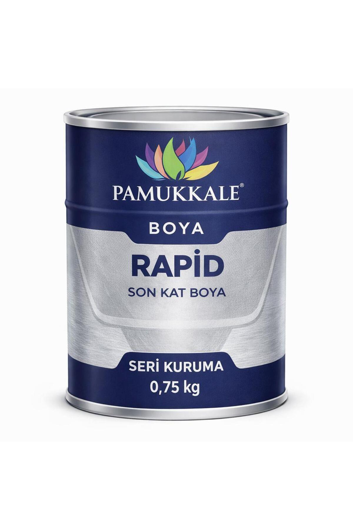 1402 Rapid Fast Drying Metal Paint Gloss 0.75 Kg Black Ral 9005