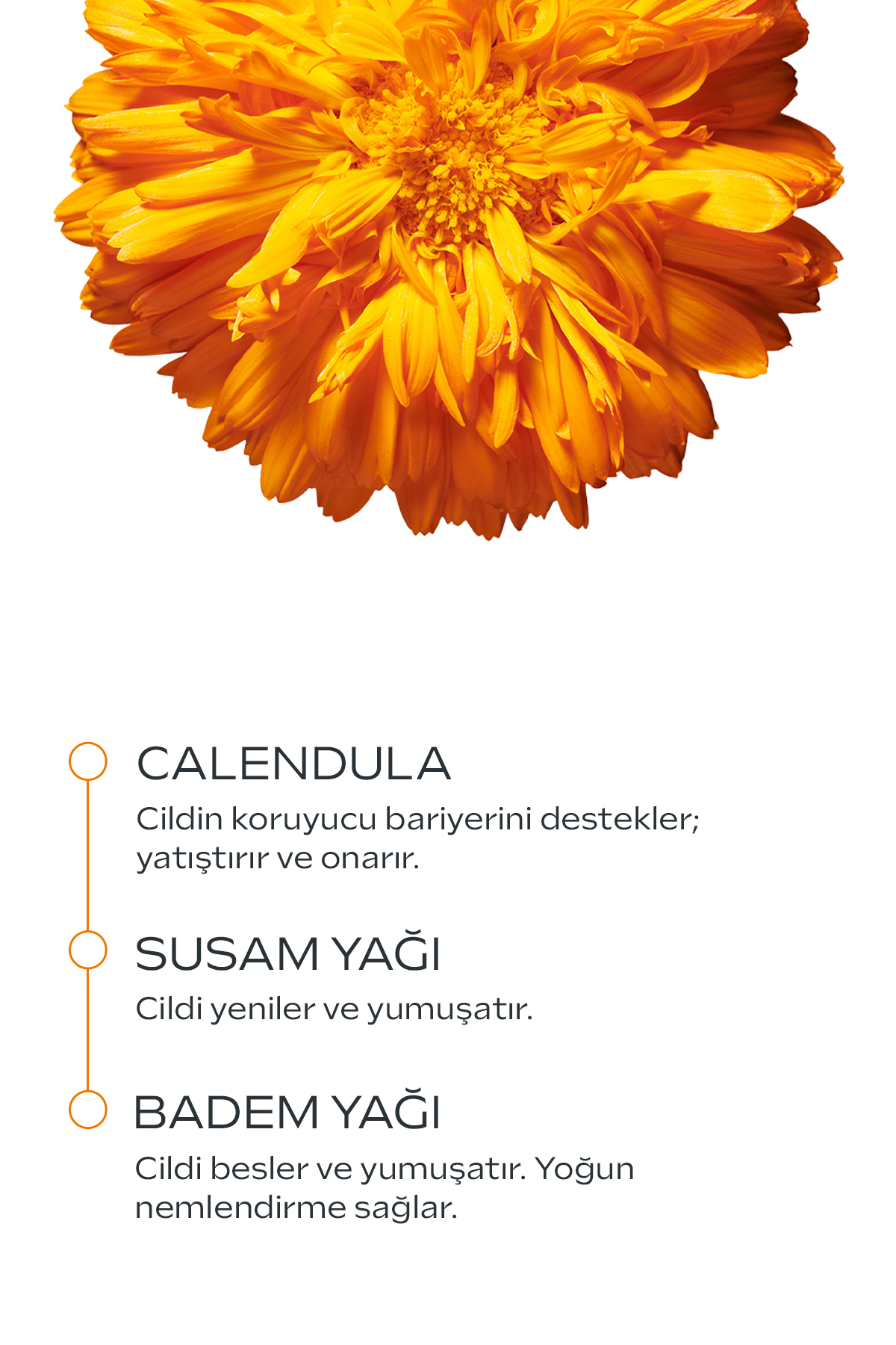Weleda Calendula Özlü Organik Saç ve Vücut Şampuanı 400ml fotoğrafı 3 (önizleme)