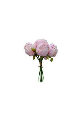 Klas Home Decor Blush Yapay Şakayık Pembe